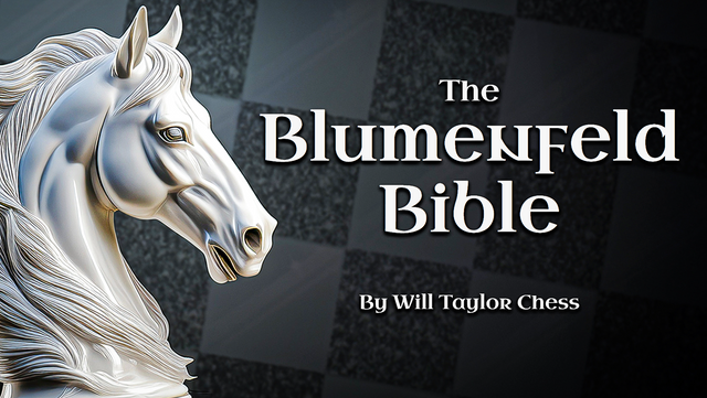 The Blumenfeld Bible cover